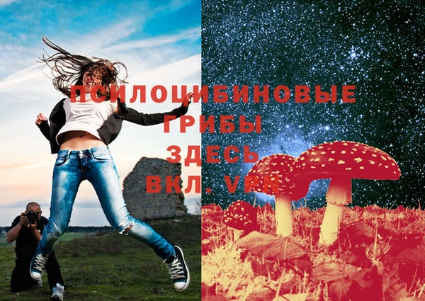 спайс Богородицк