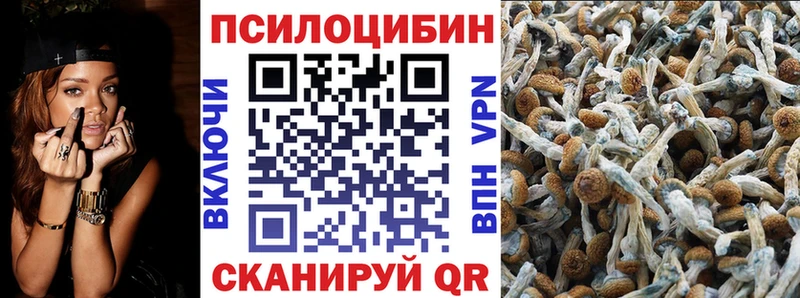 хочу   Златоуст  Псилоцибиновые грибы MAGIC MUSHROOMS 